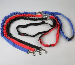 Pet Supplies Hurtownie Psy Smycze Walking Traction Running Pull Belt Pies Rano Run Rope 3 Kolory 2021