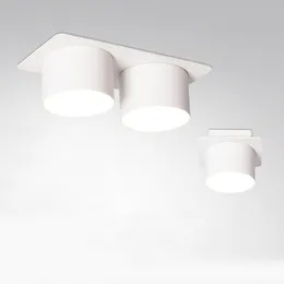 Lampy sufitowe Kryty 7W 14W LED Light Spotlight Single Head Double Do Sypialnia Salon Korytarz Restauracja