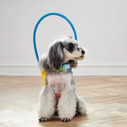 犬の襟のLeashes XXS / XS / S PET子犬保護襟アンチコリションリングブラインドペットカバーサプライ