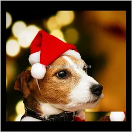 Apparel Supplies Garden Drop Leverans 2021 Husdjur Mössor Merry Christmas Decorations Home Cap Xmas Små plysch Santa för Pet Dog Cat Hat Glad