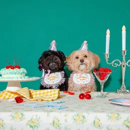 Dog Apparel Ins Korea Party Bib Pet Födelsedag Saliv Handduk Bichon Triangle Scarf Cat Hat Set