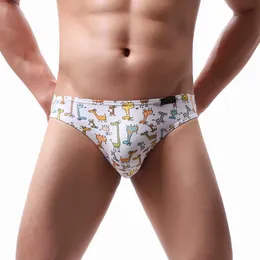 Cute male clearance underwear