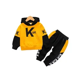 Frühling Herbst Kinder Mode Kleidung Baby Jungen Mädchen Hoodies Hosen 2 Teile/sätze Kinder Kleinkind Kleidung Infant Casual Trainingsanzug 210825