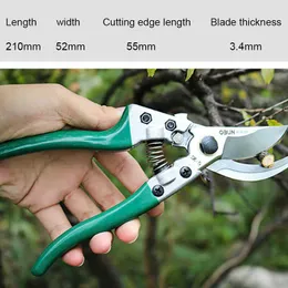 SK5 Pruner Pruning Scissors Horticulture Fruit Tree Shears Rose Cippers Bonsai Gardening Secateurs Grafting Tool 210719