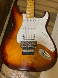 22 FRETS Professional Ovove Taraklı Akçaağaç Klavye Chrome Tremolo Floyd Gül Özel Body Elektro Gitar