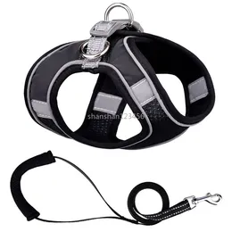 Night Reflect Light Waistcoat Harness Leash Set Adjustable Breathable Collar Rope Outdoor Metal Rings Leashes Pet Dog Supplies Will and Sandy