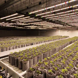 660w 640w Hydroponic Growlight Full Spectrum Indoor Plant Grow Light Led Bar Horticulture alternative Gavita Pro 1700e