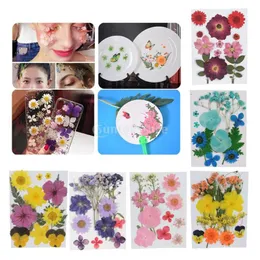 Decorative Flowers & Wreaths Multi Real Pressed Dried Embellishments DIY Candle Crafts Card Making Leaves Flower Jewelry