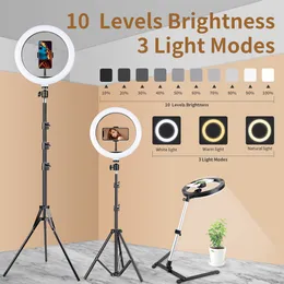 13Inch 10INCH LED Selfie Ring Light Dimmable Photography Belysning med telefonhållare stativ för YouTube Makeup Video Live