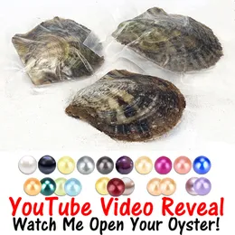 6-8mm 믹스 28 색 Akoya oyster 싱글, 쌍둥이, 쌍둥이 및 쿼드 즈 진주 oysters oysters 랩