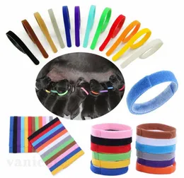 Puppys ID Collar Identyfikacja Dog Collar Band Dla Whelp Puppy Kotek Pet Cat Velvet Praktyczny Collars12 Kolory ZC180