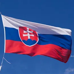 Newslovakia National Flag 3x5 ft 150x90cm 100d Polyester Banner Brass Grommets för dekoration Hängande annonsering Anpassad flagga EWF5780