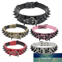 2 "szerokie ostre spiked staded Leather Dog Collar Pitbull Bulldog Duży kołnierz regulowany dla średnich dużych psów bokser XS S M L