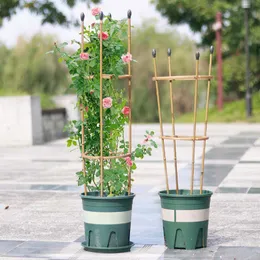 Other Garden Supplies Climbing Plant Support Cage Trellis Flowers Stand Rings Tomato Durable Vine Racks For Gardening Tools