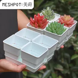 Meshpot 6cm / 7cm Vaso per piante grasse Fioriera in plastica Fioriera per cactus Contenitore per radici Controllo del buon sistema di aria Forniture da giardino Home Dec 210401