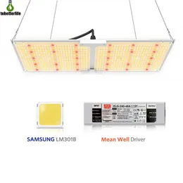 LED Grow Light Samsung 1000W 2000W 4000W 6000W Kuantum Tam Spektrum Fito Lambası Sera Tesisi Büyüme Aydınlatma