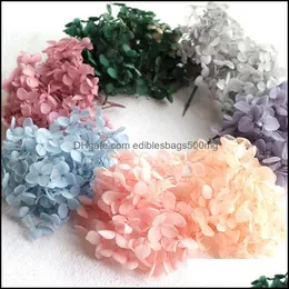 Festa de festa festiva decorativa Flores Gardendecorativas de Grinaldas 5g/Lote Hydrangea Real Flor Dried Dech Plants for Candleepoxy Pend