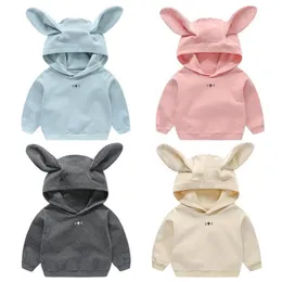 Arrival Spring Autumn Kids Hoodies Baby Boys Girls Hoody Older Children Long Sleeve Pullover Outerwear 6M-4Y 211029