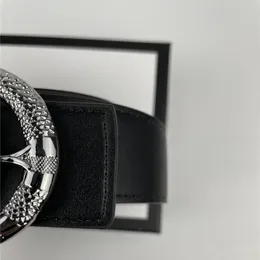 Belt designer lyxmärke högkvalitativa män och kvinnors bälten 5 färger breda 3,8 cm ormhuvud tre-färg spänne