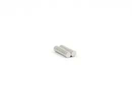 2021小さな米2x1磁石2mm x 1mmのための2mm x 1mm 2mmx1mm 2x1mmネオジム磁石2 * 1mm