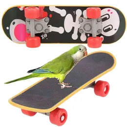 Puzzle Set New Trolley Bell Ball Ferrule Parrot Skateboard Bird Educational Training Toys for Parakeets Supplies