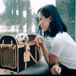 Designer-Hundetransportbox mit klassischem Druck, Heimtierbedarf, Leder, atmungsaktive Hundetransportboxen, vorherrschend, mit Markenlogo, große Größe