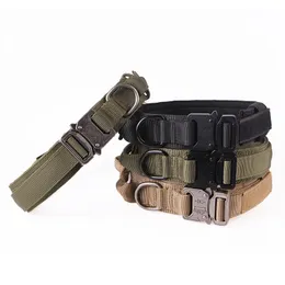 Nylon Pet Dog Cat Collars Outdoor Outdoor Dutesable Corgi Husdjur Leashs Högkvalitativa Justerbara Pet Collar Supplies