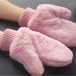Guanti invernali da donna elasticizzati ispessiti lavorati a maglia caldi Guanti da dito coperti casual termici femminili #p31