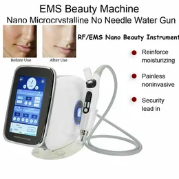 Portable 3in1 EMS Microneedle RF Mesotherapy Machine Meso Injection Face Lifting Skin Dra åt skönhetsblekning av rynkning
