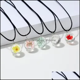 Hänge hängsmycken juvelrypendant halsband rinhoo 1pc colorf torr blomma rund glas svart läderkedja halsband för kvinnlig kvinnlig charm exq