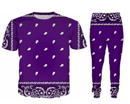 Sprzedaż hurtowa--2022 New Fashion Casual chustka 3D nadruk całościowy dresy T-Shirt + spodnie joggery garnitur kobiety mężczyźni @ 019
