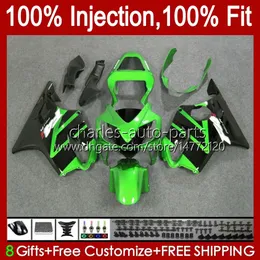 OEM Ciała dla Honda CBR600F4I F4 I CBR600FS 01-03 CBR 600 F4I.171 CBR 600F4I 600 F4I FS CC 2001 2002 2003 CBR600 F4I 600CC 01 02 03 Wtrysk Morski Ogrodzenie Metalowe Zielony