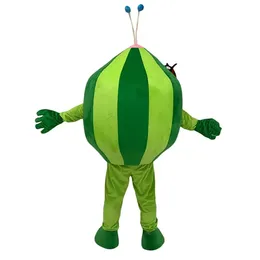 Costumes Halloween Watermelon Mascot Costume Cartoon Anime theme character Christmas Carnival Party Fancy Costumes Adults Size Birthday Out