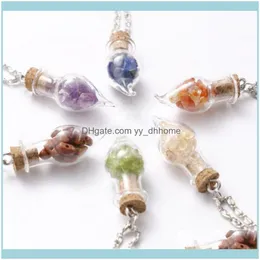 Halsketten Anhänger Jewelryfyjs Einzigartige versilberte Wunschflasche Amethyste Stein Anhänger Gliederkette Halskette Lapislazuli Schmuck Tropfen liefern