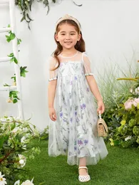 Toddler Girls Floral Print Puff Sleeve Sheer Mesh Overlay Dress Hon