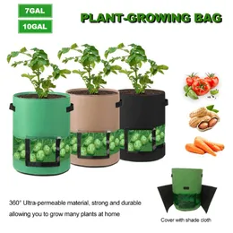 Planters POTS Plant Planting Bag Potato and Tomat Covered Middle Transparent