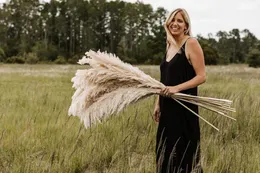 2021 Naturale Secchi Pampas Erba Phragmites Communis Reed Piante Matrimonio Fiore Mazzo Complementi Arredo Casa Fai Da Te Fiori Secchi Pampas