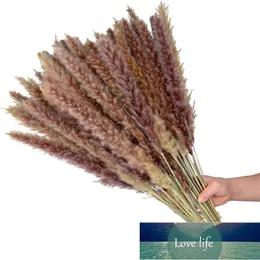 Decorative Flowers & Wreaths 60pcs Pantas Sechees Naturelles Dekoration Pampas Grass Flower Reeds Dry Bulrush Bouquet Phragmites Home Decor