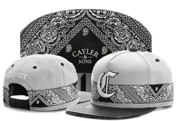 2021 cappellini Co e cappello da baseball squalo Cayler Sons Snapbacks aderente Hip Hop regolabile