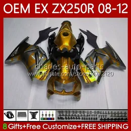 Einspritzung OEM für KAWASAKI NINJA ZX-250R EX250 ZX250 R EX ZX 250R 2008-2012 Karosserie 81No.202 EX-250 ZX250R 08 09 10 11 12 EX250R Gold Flames 2008 2009 2010 2011 2012 Verkleidung