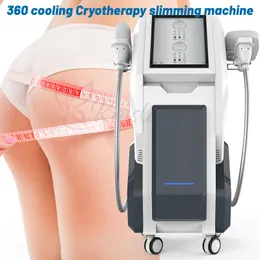二重チャンネル360°冷却ボディの整形Cryolipolysis Slimmimg機械脂肪凍結凍結療法の美機器