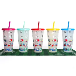 Reusable Plastic Tumblers with Lids & Straws Summer Party 24oz Large Color Changing Cups