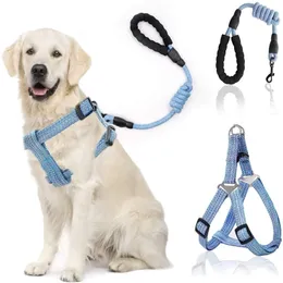 Hundegeschirr, Leine, Seil-Set, verstellbar, für Hunde, Brust, Rücken, Traktion, Welpen, Haustier, Nylon, langlebig, für Outdoor-Walking, Kettengürtel, Halsbänder, Leinen