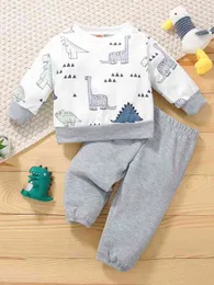 Baby Geo и DinoSaur Print Толстовые спорты