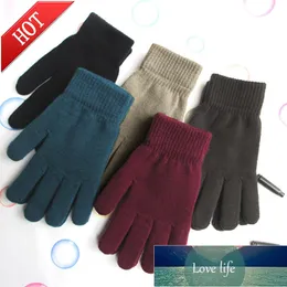 Women Men Unisex Winter Ribbed Knitted Full Fingered Gloves Basic Solid Color Thicken Plush Lining Mittens Thermal Wrist Warmer Factory price expert design Quality