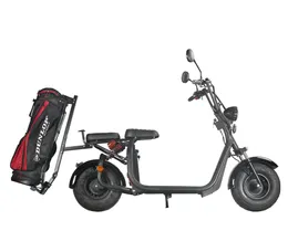 2 Wheel Electric Scooters with Golf Bag Carrier 1500W Fat Tire Electric Bike Golf Scooter Electric Motorcycle