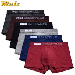 Marka Muls Erkekler Boxer Şort 3 adet / takım 6 Renkler Penye Pamuk Hızlı Kuru Erkek Iç Çamaşırı Erkekler Erkek Bodysuit Altında Pantolon Donatılmış Boyut S-3XL H1214