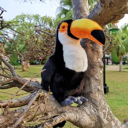 30 cm Big Kyorochan Symulacja Toucan Bird Animal Plush Toy Doll Dold Birthday Prezent Dekoracja Dekoracja LA308