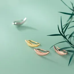 Feather Stud Earrings For Fashion Women Party Fine Jewelry Hiphop Minimalist Accessories