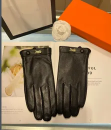 Luxuriöse Schaffell-Lederhandschuhe für Herren, modischer Herren-Handschuh, Touchscreen, Winter, dick, warm, Gunine-Leder mit Fleece-Innenseite, Geschenke inklusive Box